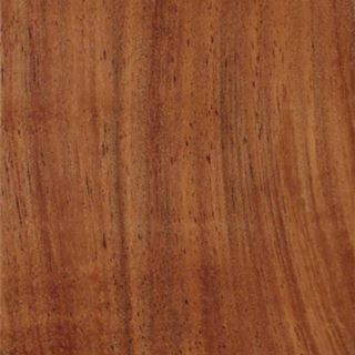 澳洲相思/黑木 Australian Blackwood